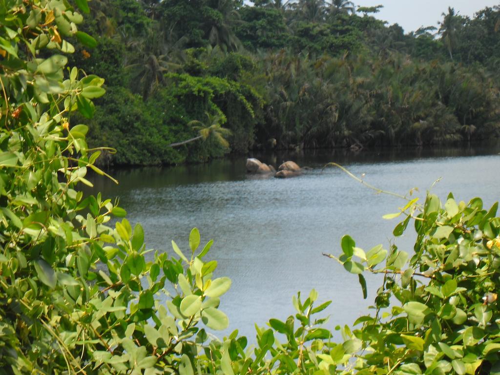Madampe House 3 Bedroom Villa With Pool For#7 Ambalangoda  Rum bild